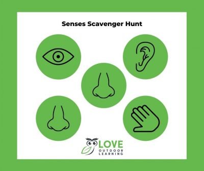 Senses Scavenger Hunt