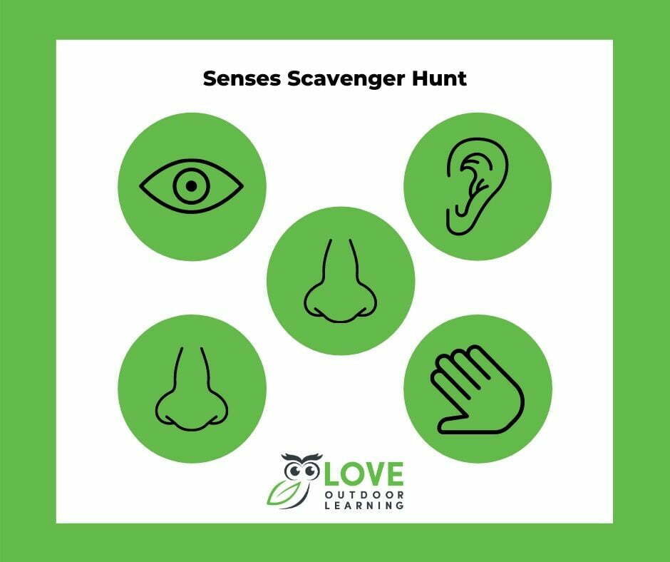 Senses Scavenger Hunt