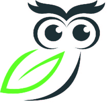 Owl Big